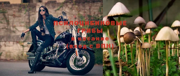 прущий лед Белоозёрский