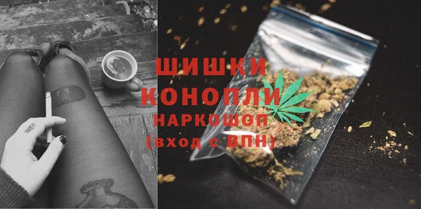 ешки Белокуриха